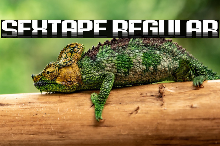 Sextape Regular Example 3