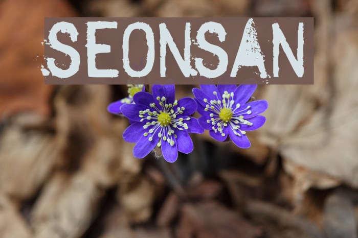 SextonSans Fonte examples