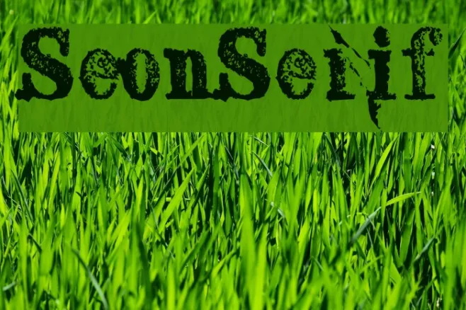 SextonSerif Example 1