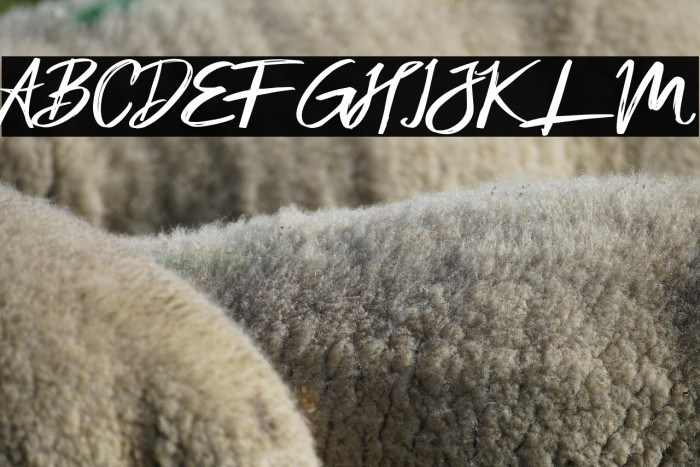 Sexy Beachy Example 2