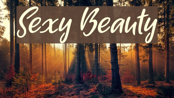 Sexy Beauty Font 