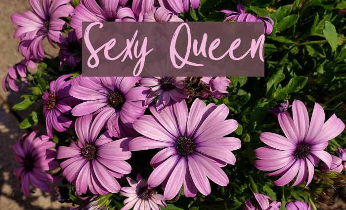 Sexy Queen 字体 examples