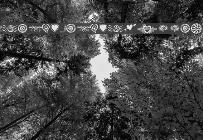 SexyRexy-Smitten Font examples