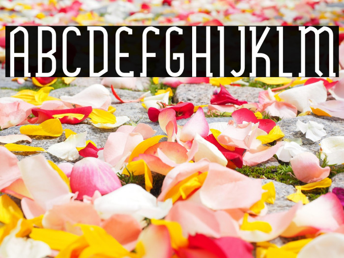 SexythingBold Example 1