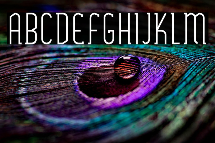 SexythingRegular Example 1