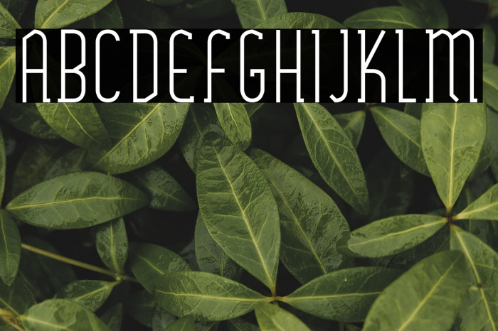 SexythingRegular Example 3