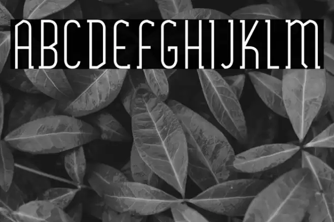 SexythingRegular Font examples