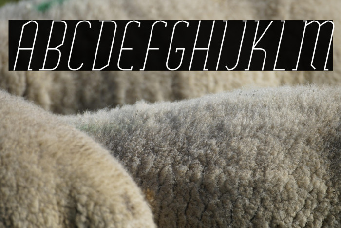 SexythingThinItalic Example 1