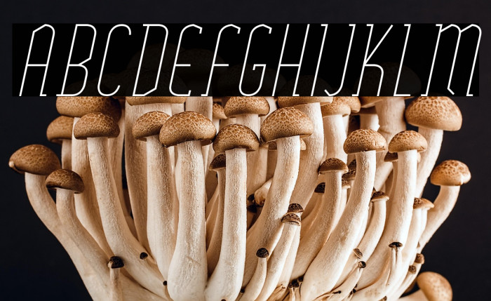 SexythingThinItalic Example 2