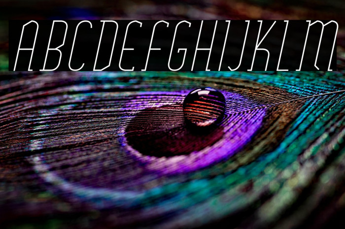 SexythingThinItalic Example 3