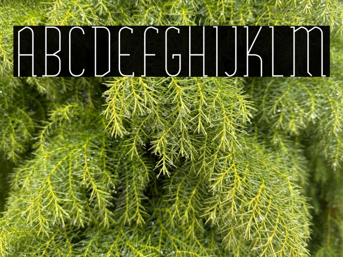 SexythingThin Example 3