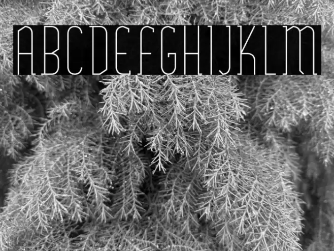 SexythingThin Font examples