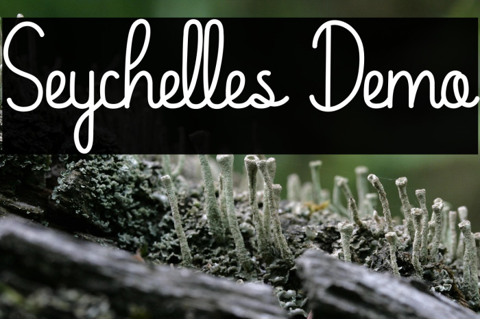 Seychelles Demo Example 1