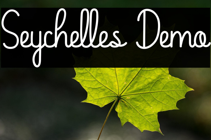 Seychelles Demo Example 3