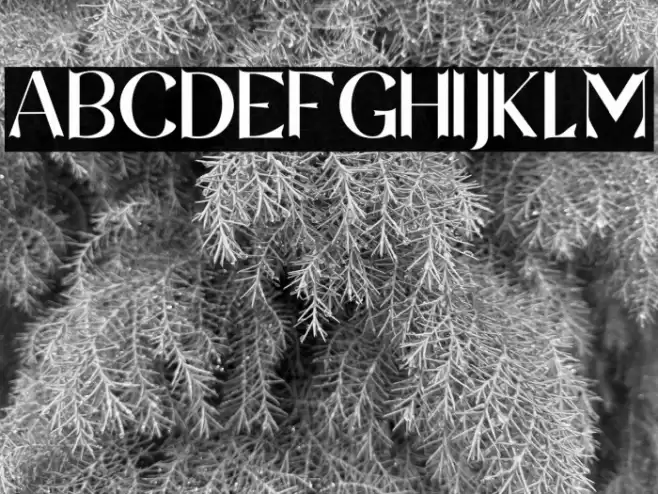 Seychelles Font examples