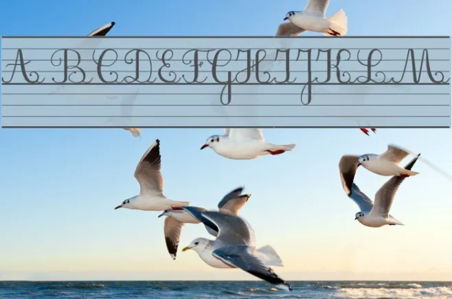 SeyesBDL Example 1