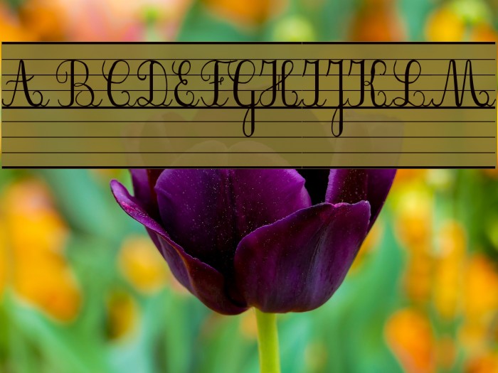 SeyesNDE Font examples