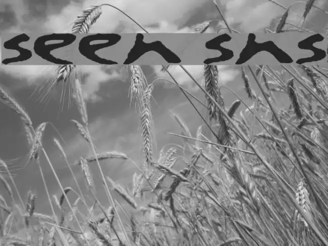 se7en sins Font examples