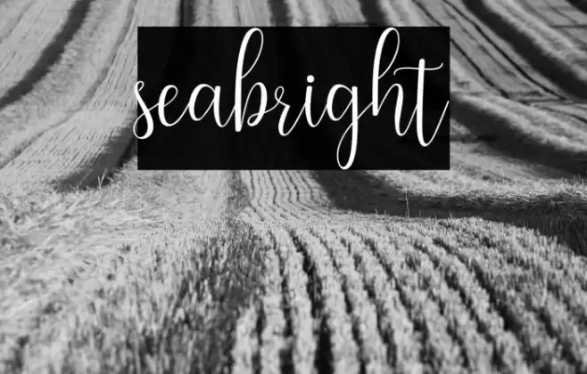seabright Font examples