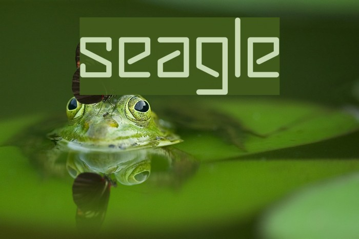 seagle Fonte examples