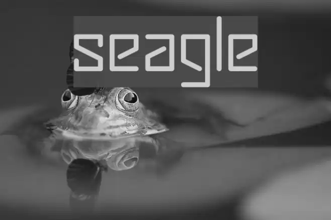 seagle Fonte examples