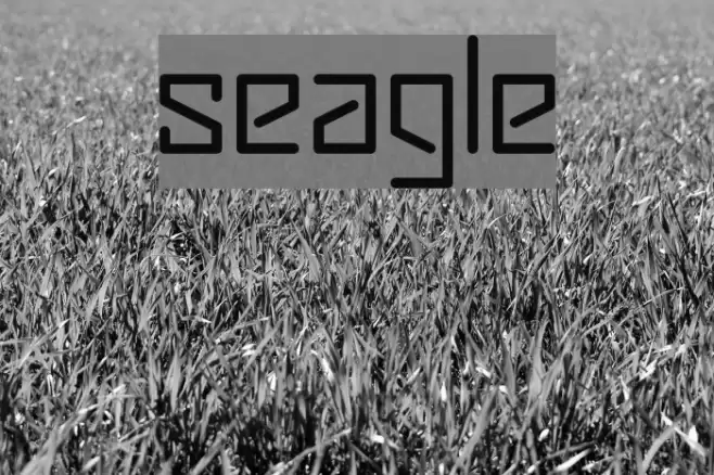 seagle Fonte examples