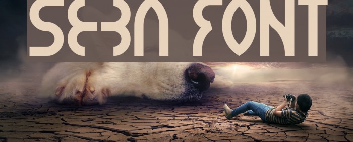 seba Font examples