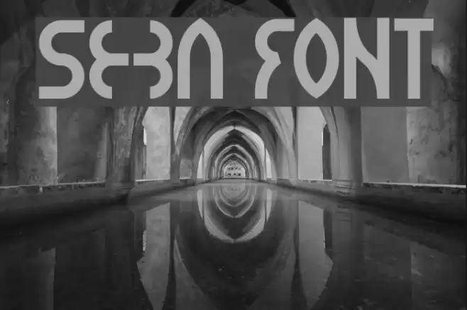 seba Font examples