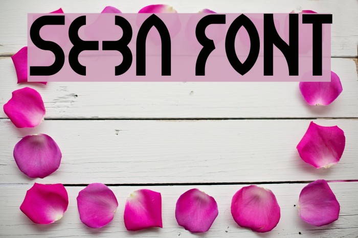 seba Font examples