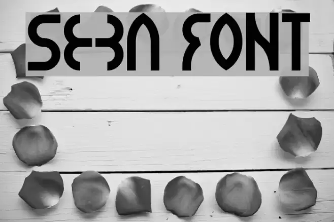 seba Font examples