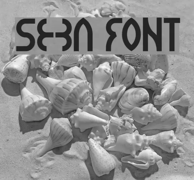 seba Font examples