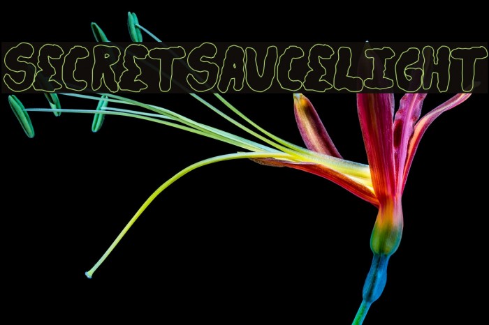 secretsaucelight Font examples