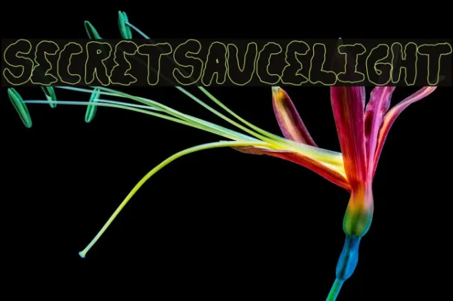 secretsaucelight Example 2