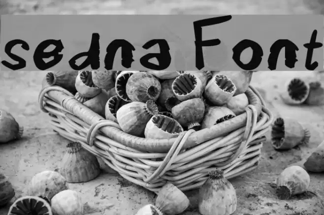 sedna Font examples