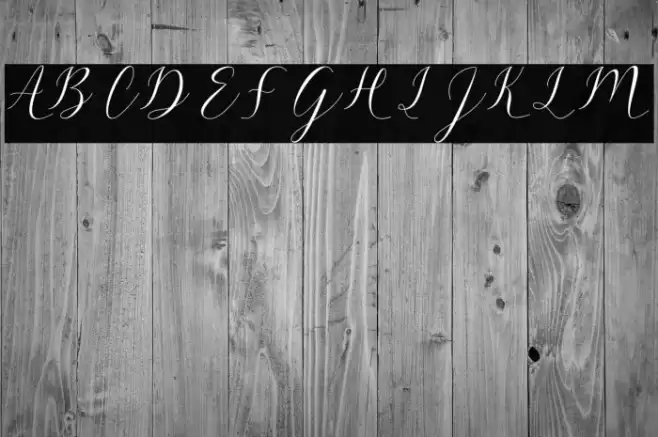 sehaty Font examples