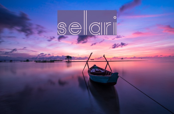 selari Font examples