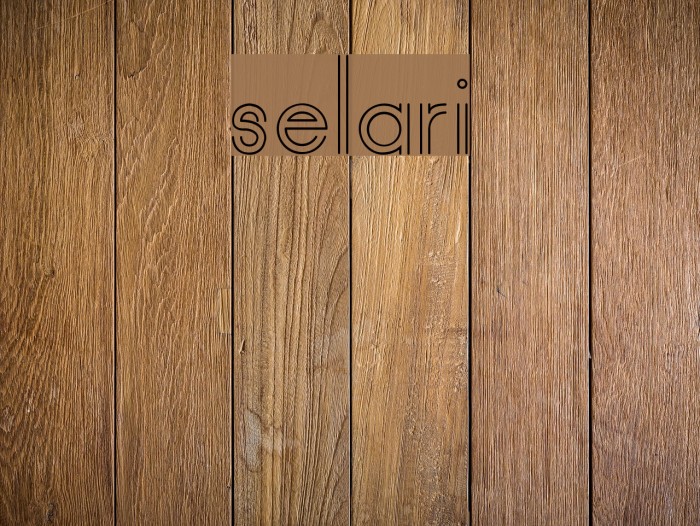 selari Font examples