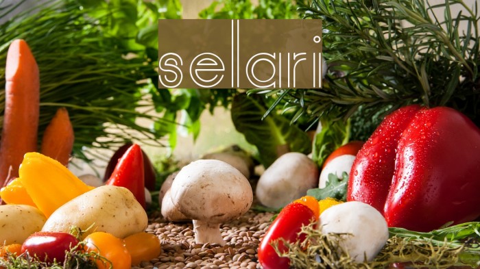 selari Font examples