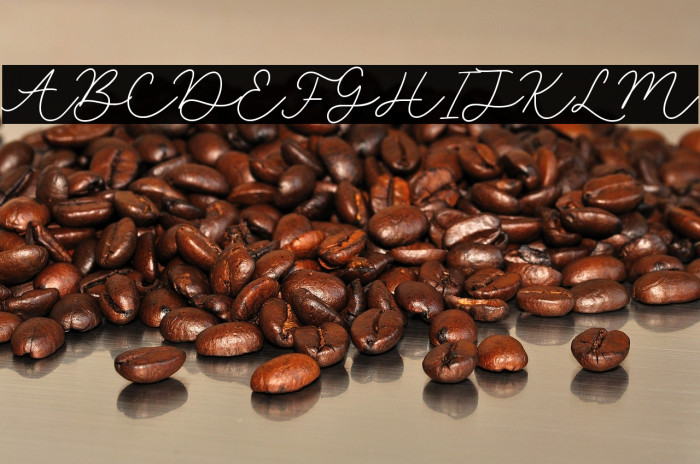 selyna avelyn Example 1