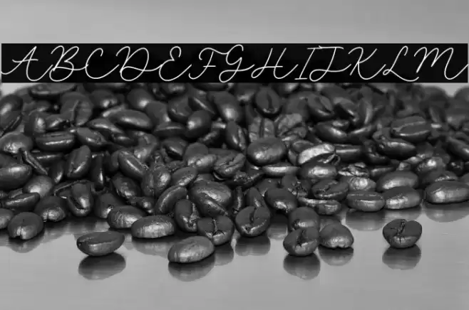 selyna avelyn Font examples