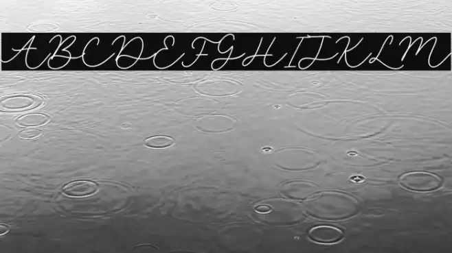 selyna avelyn Font examples