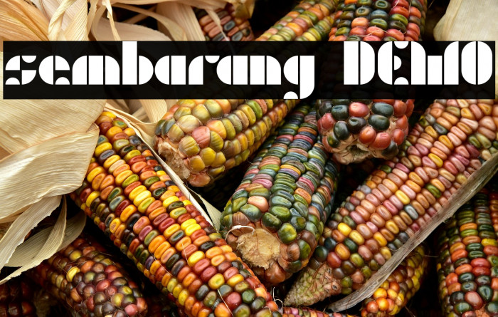 sembarang DEMO Example 1