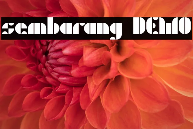 sembarang DEMO Example 2