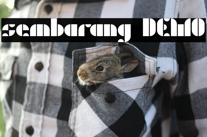 sembarang DEMO Example 3