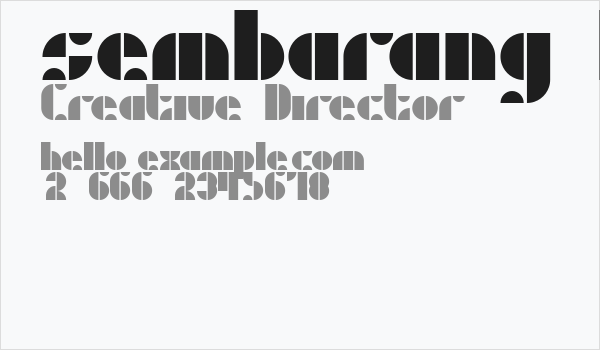 sembarang DEMO Business Card