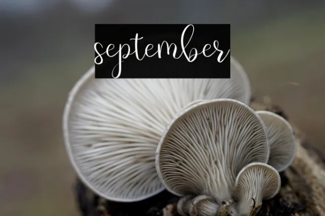 september Example 3
