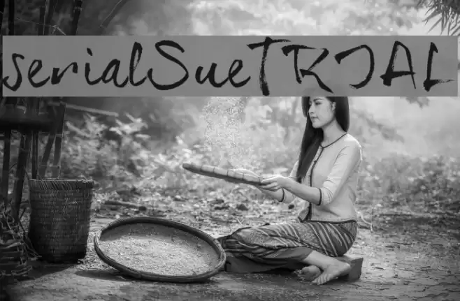 serialSue_TRIAL Font examples