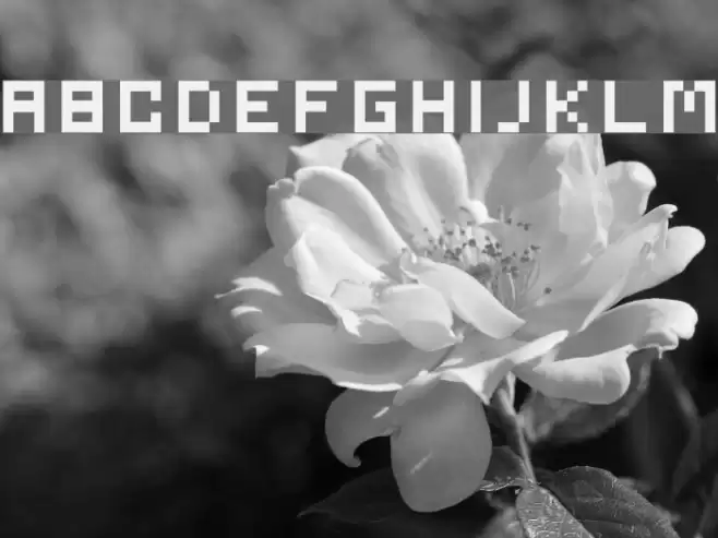 serious1 Font examples