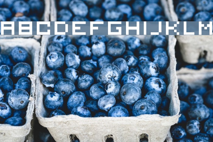 serious2 Font examples