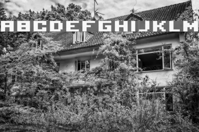 serious2b Font examples